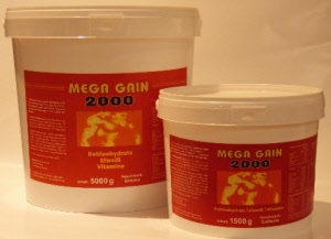 mega_gain_2000